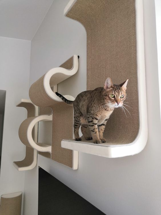 Design ideas and innovations of cat climbing frames